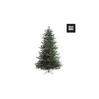 Black Box kerstboom Macallan (h155 x Ã104 cm)