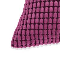 VidaXL Sierkussenset 60x60 cm velours roze 2-delig