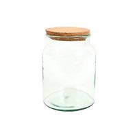 Esschert AGG68 Plant Terrarium S Doe Het Zelf Planten Terrarium Half Open