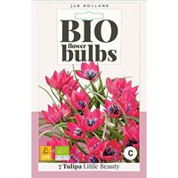Bio tulp Little Beauty 7 bollen