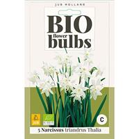 Bio narcis Triandrus Thalia 5 bollen