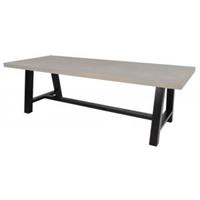 express Tuintafel Toro 250x100x77 cm