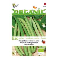 Buzzy Bio zaden organic stokspekboon neckarkonigin