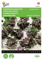 buzzy Kalettes Garden Mix F1