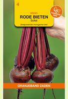 Oranjeband Rode biet Soloist Beta vulgaris - Biet - 5 gram