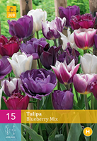 Tuinland Tulpen Bloembollen Blueberry Mix 15 Stuks