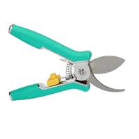 Ben Tools RVS snoeischaar voor bloemen en planten 15 cm - bloemenschaar