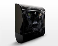 Klebefieber Briefkasten Black Puma