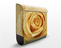 Klebefieber Briefkasten Vintage Rose