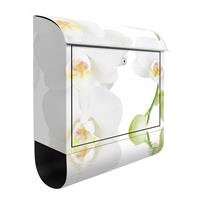 Klebefieber Briefkasten Wellness Orchidee