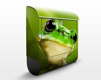 Klebefieber Briefkasten Wetterfrosch