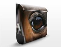 Klebefieber Briefkasten Horse Eye