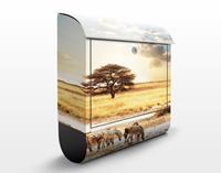 Klebefieber Briefkasten Das Leben der Zebras