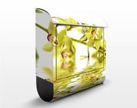 Klebefieber Briefkasten Elegant Orchid Waters