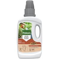 Pokon Bio buxus & ilex voeding 500 ml