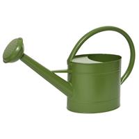 Groene Zinken Tuinbewatering/kamerplanten Gieters 5 Liter - Tuinplanten/binnenplanten Gieters - Gietertjes