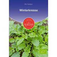 DE BOLSTER Winterkresse | BIO Kressesamen von - 