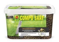 SAAT Trocken Rasen 2 kg für 80 m² - 