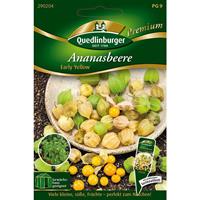 Ananasbeere Early Yellow | Beerensamen von Quedlinburger