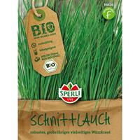 Schnittlauch Polyvit | Bio-Schnittlauchsamen von Sperli