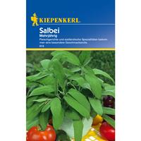 KIEPENKERL Salbei - Kräutersamen - 