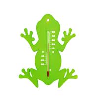 Nature Garten Wandthermometer Froschform Grün