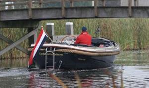 Vlaggenclub.nl Elektrische vlaggenstokhouder RVS | Flagmover