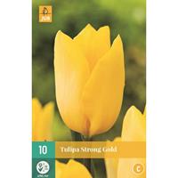 Tulp strong gold 10 bollen