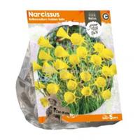 Baltus Bloembollen Baltus Narcissus Bulbocodium Golden Bells bloembollen per 5 stuks