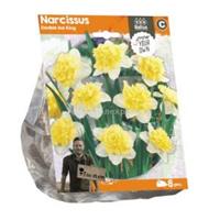 Baltus Bloembollen Baltus Narcissus Double Ice King bloembollen per 8 stuks