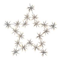 STAR TRADING LED sfeerlamp Flower Star voor buiten