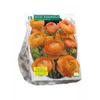 Baltus Bloembollen Baltus Ranunculus Oranje Ranonkel bloembollen per 15 stuks