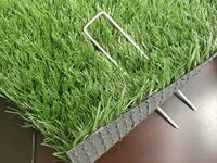 EasyLawn Grass Pinnen