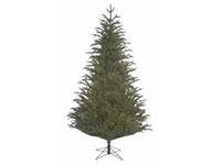 Black Box FRASIER FIR H155 Groen