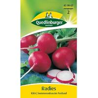 Radies, Ilka