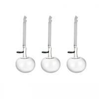 Iittala Kerst 2021 Glazen appel helder set van 3