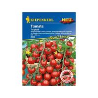 Cocktailtomaten Tropical Resistent