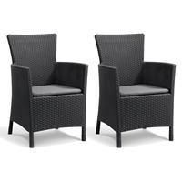 Allibert Tuinstoelen 2 st Iowa grafietkleurig 215526