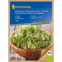 BIO Keimsprossen Rauke 50g