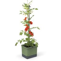 Gusta Garden - Tom Tomato - Tomatenplantenbak met watertank