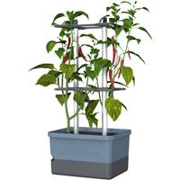 Gusta Garden - Charly Chili - Chiliplanter met watertank