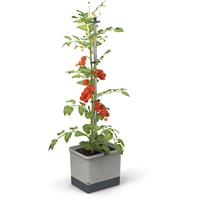 Gusta Garden - Tom Tomato - Tomatenplantenbak met watertank