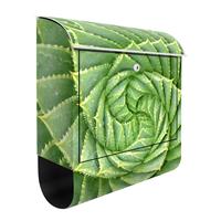 Bilderwelten Briefkasten Botanik & Tropical Spiral Aloe