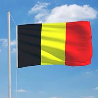 VIDAXL Flagge Belgien 90x150cm