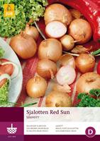 250 Gr Sjalotten Red Sun