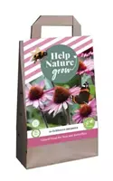 Jub 1 Tas 10 Echinacea Purpurea - Help Nature Grow
