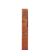Gallagher Insultimber (FSC) hoekpaal 250x10x10cm (1) - 017904 017904