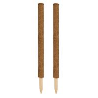 Nature 2x stuks plantenstok kokos / tonkinstokken Bruin