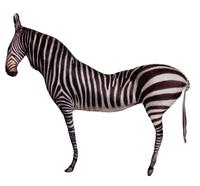 Giftdecor Formkissen Zebra 78 X 54 Cm Samt WeiÃŸ/schwarz