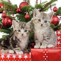 20x Kerst thema servetten met 2 kittens katten/poezen 33 x 33 cm -